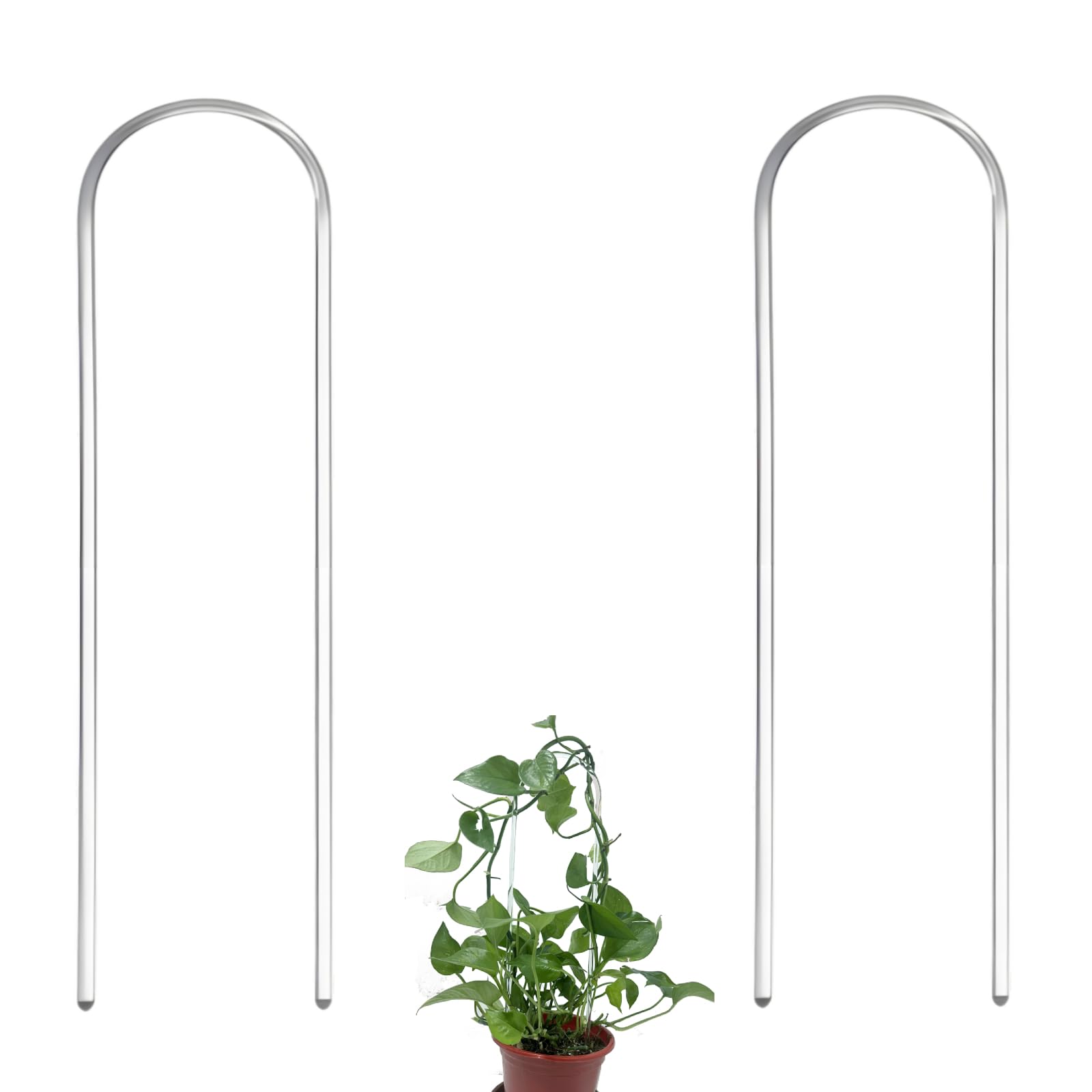 CHOUYUHE U shaped clear acrylic plant support highlights ivy with crystal clarity and easy installation
