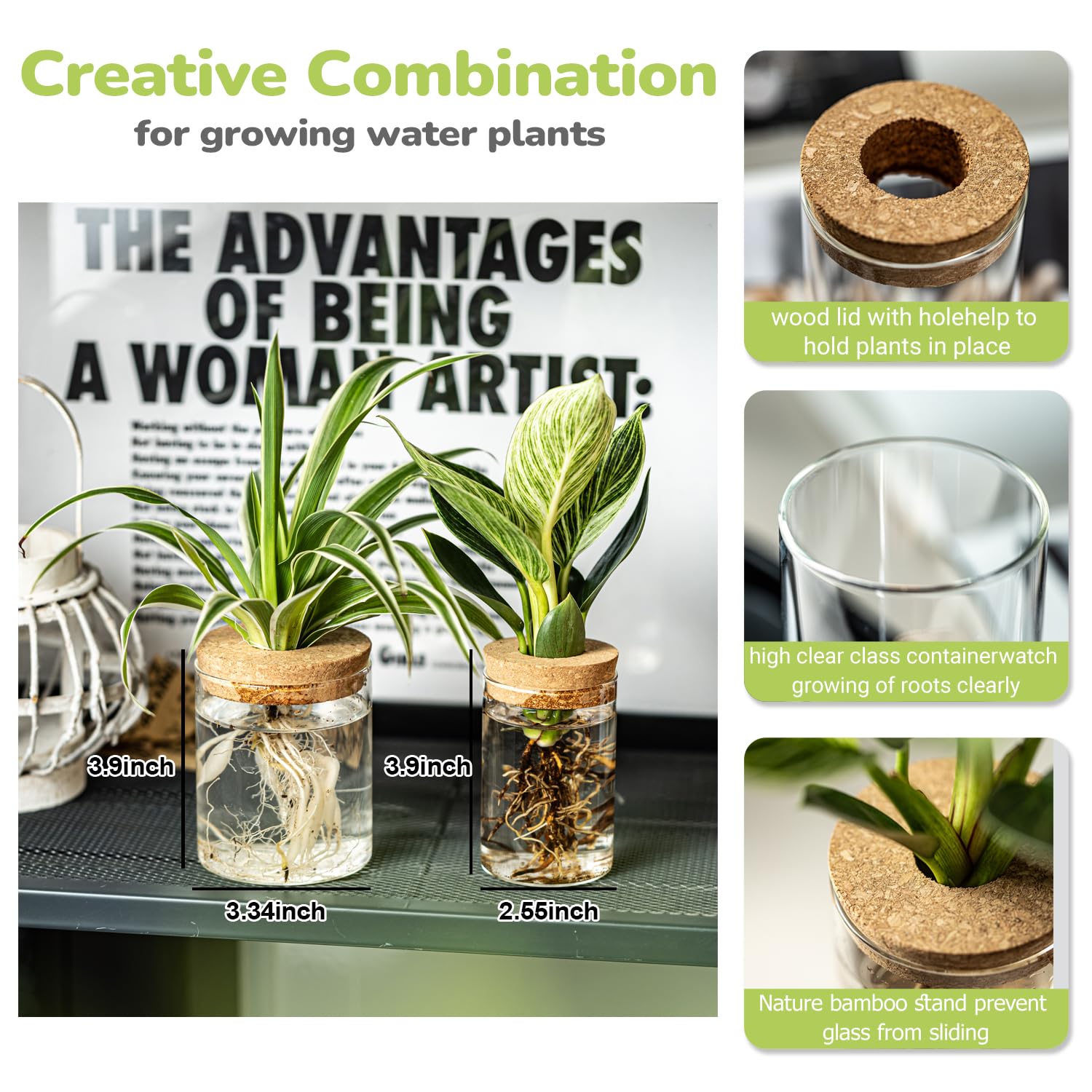 CHPINDAM large propagation bottle shown on a shelf for visual appeal.