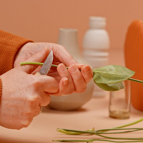 Chrysal easy dosing odorless mix for home floristry use.
