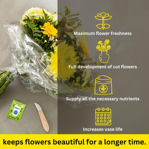 Chrysal Flower Boost for bouquets supports bud development and vibrant stems.