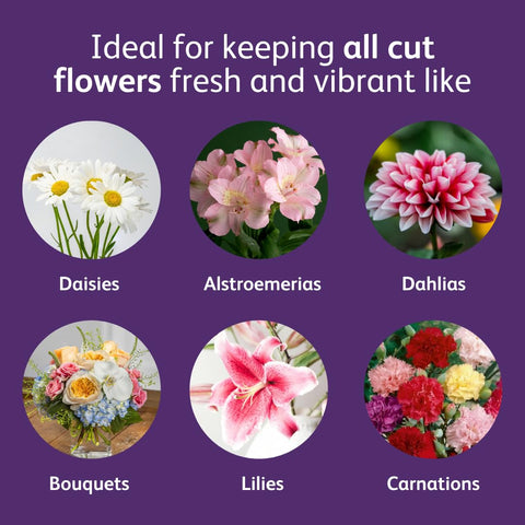 Chrysal flower-food-measuring-scoop pictured with precise dosing for vases and arrangements.