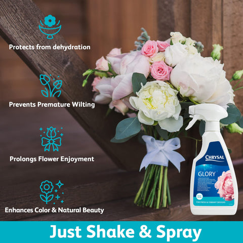 Chrysal Glory leaves hydration after spray for a lush look.