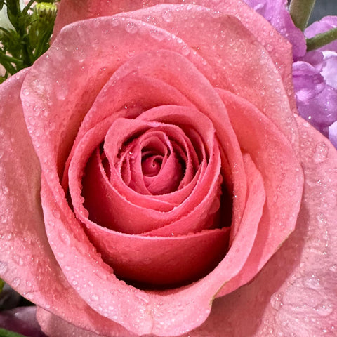 Chrysal Glory reduces water loss to keep blooms looking longer.