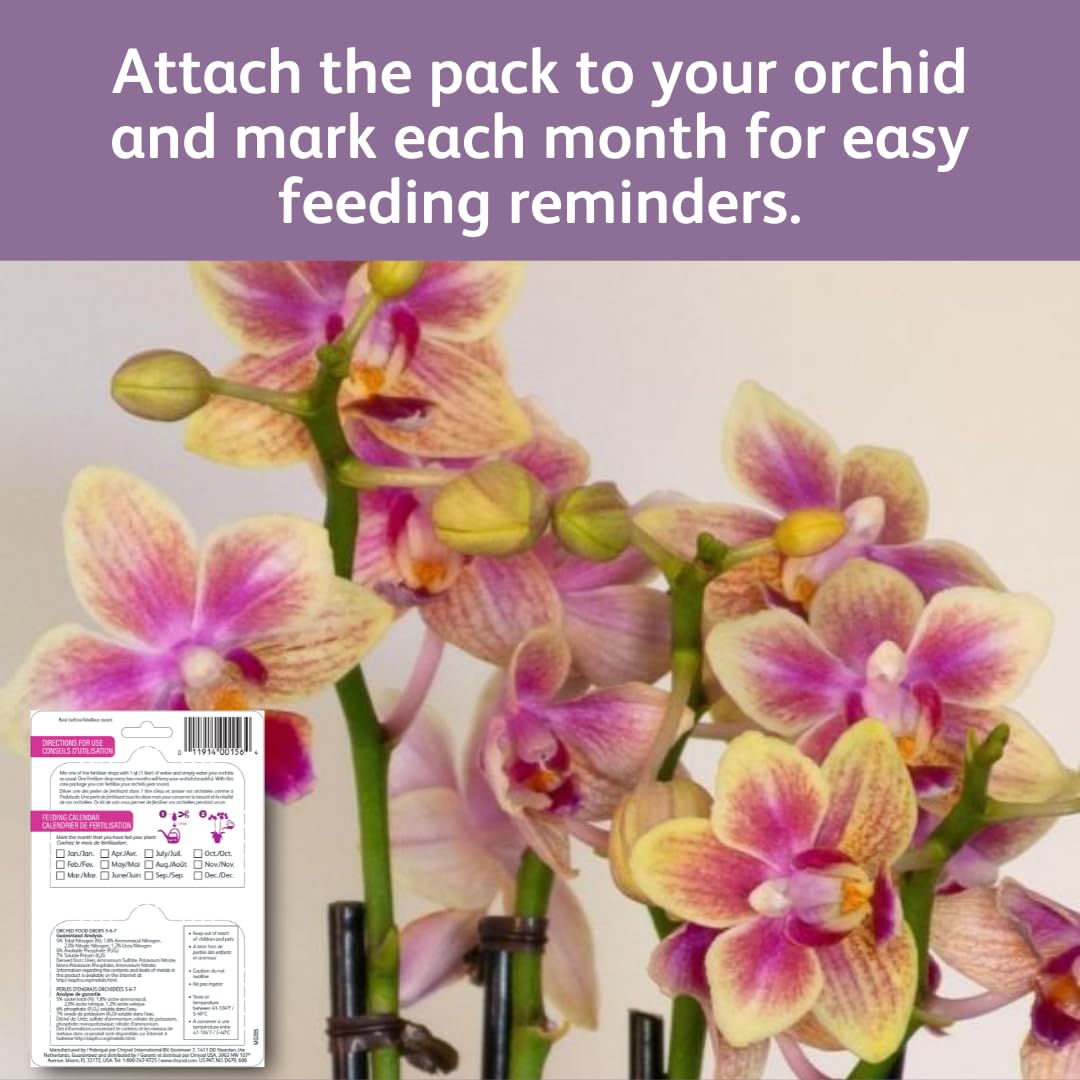 Chrysal Orchid Food Drops usable indoors and outdoors for orchids.
