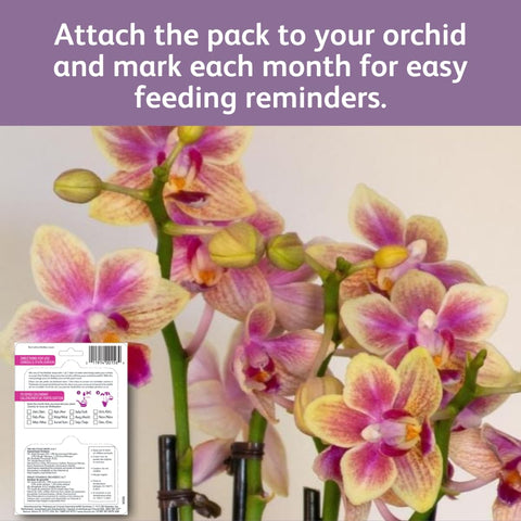 Chrysal Orchid Food Drops usable indoors and outdoors for orchids.