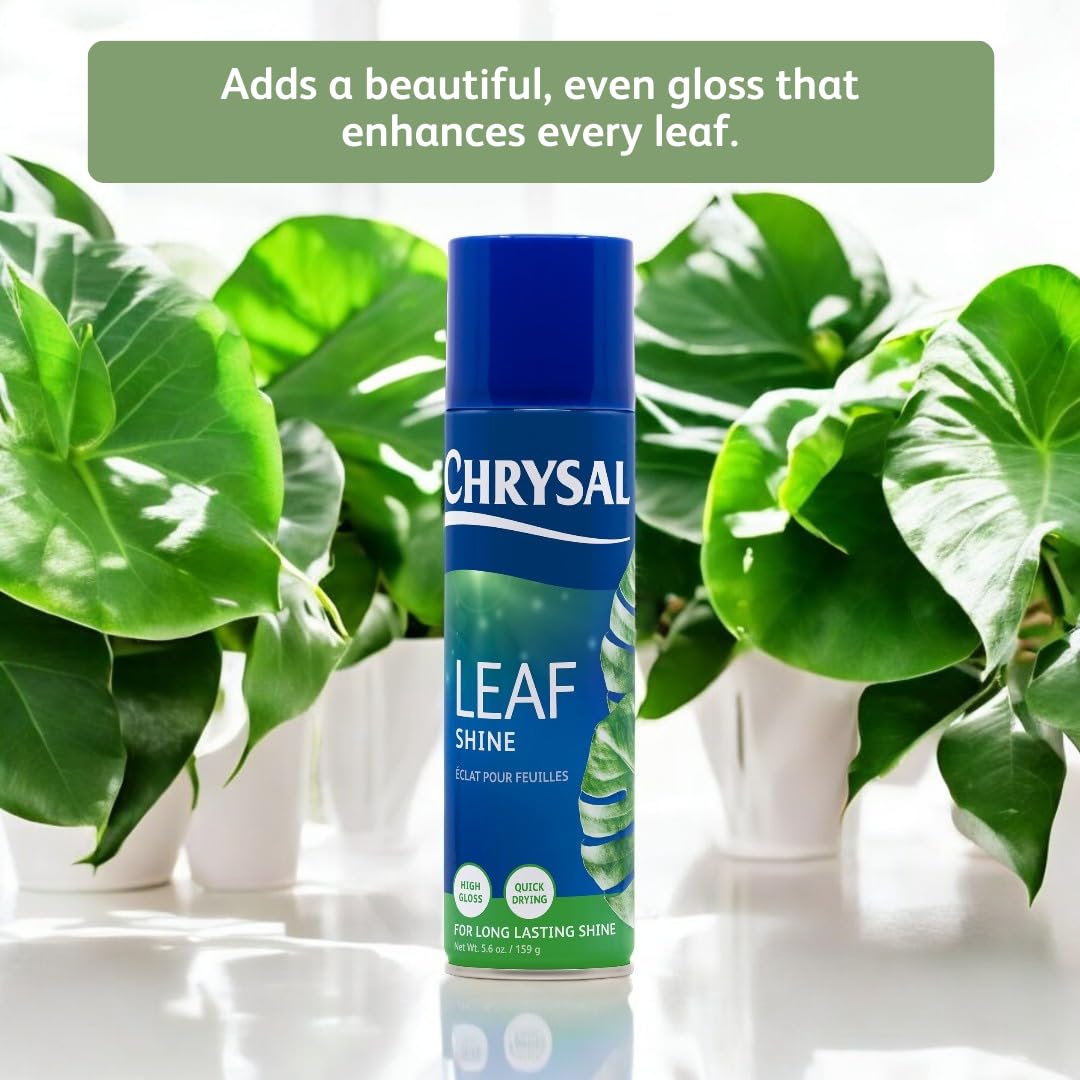 Chrysal Leaf Shine cleans dust from foliage for a cleaner look.