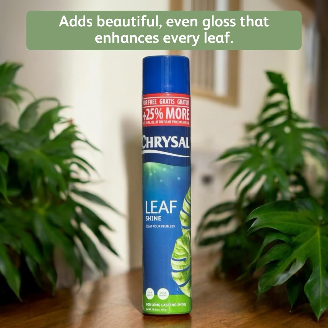 Chrysal Leaf Shine on leaves shows before and after gloss.