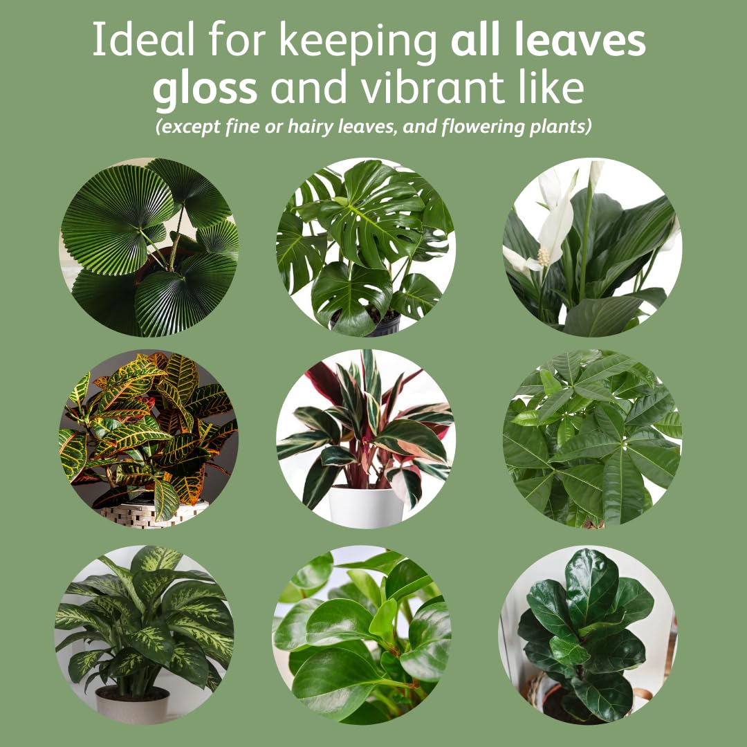Chrysal Leaf Shine is non-oily and breathable for leaves.