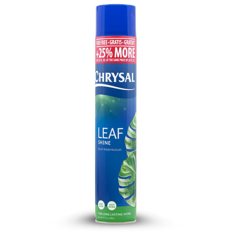 Chrysal Leaf Shine Spray bottle for indoor plants adds a natural shine.