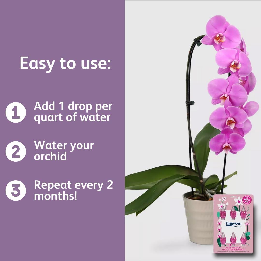 Chrysal Orchid Food Drops supporting bloom enhancement and vitality.