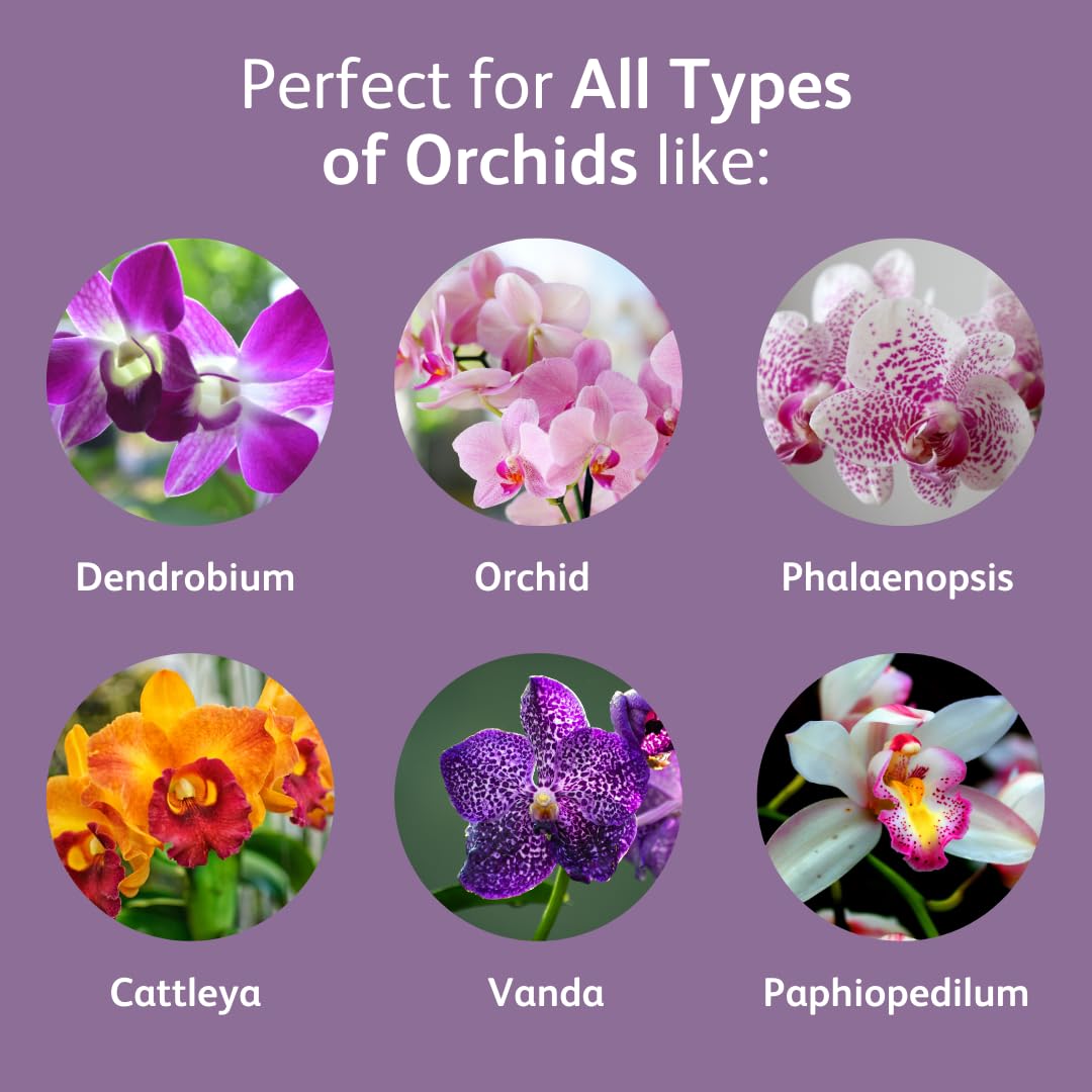 Chrysal Orchid Food Drops suitable for all orchid species care.