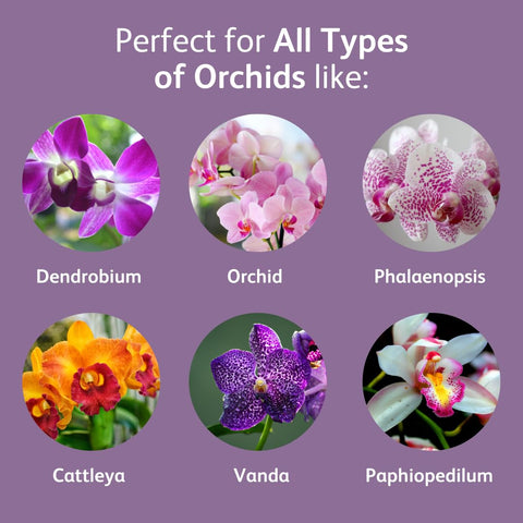 Chrysal Orchid Food Drops suitable for all orchid species care.