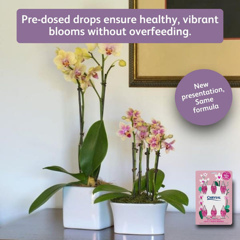 Chrysal Orchid Food Drops blister pack with easy dosing calendar.