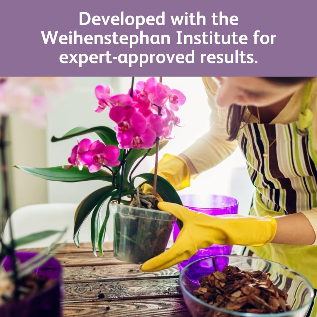 Chrysal Orchid Food Drops provide balanced nutrition for healthy growth.