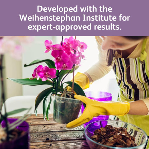 Chrysal Orchid Food Drops provide balanced nutrition for healthy growth.