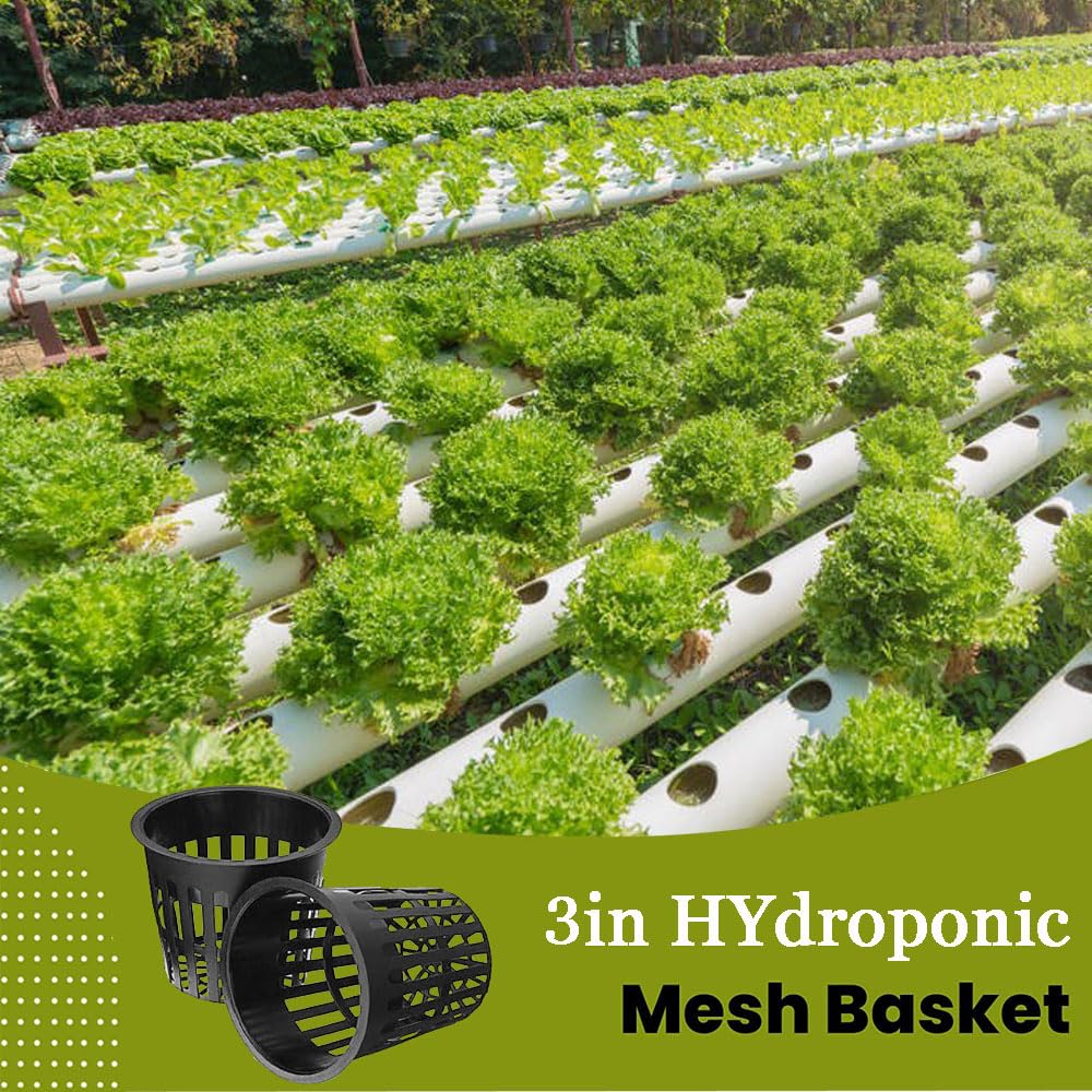 CHTASO 3-inch net pot with slots promotes root growth in hydroponics.