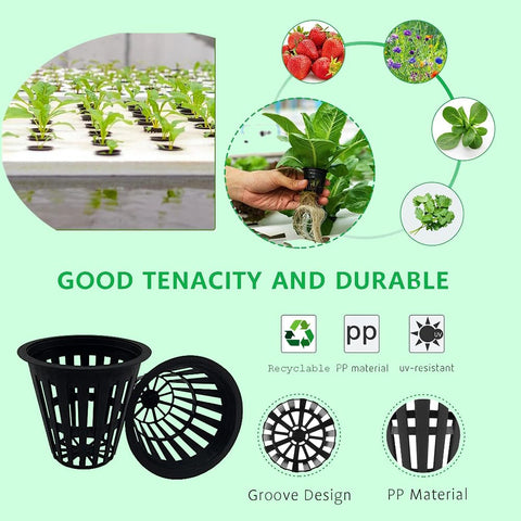 CHTASO heavy-duty net pot UV-resistant plastic ready for reuse in hydroponics
