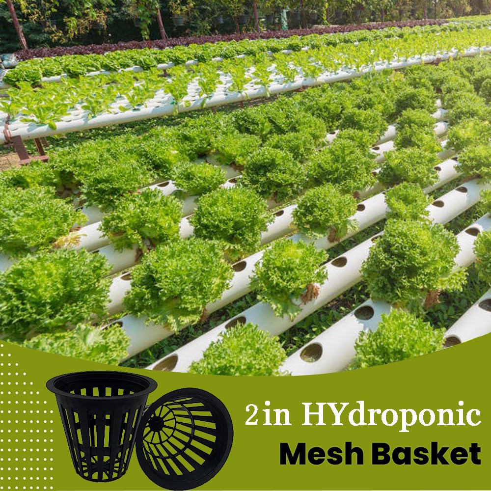 CHTASO net pot bottom and side holes highlighting airflow for robust root growth