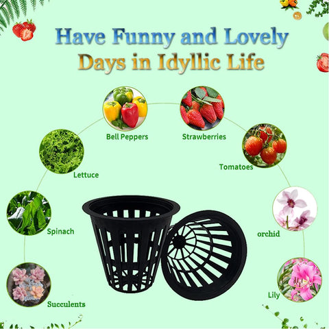 CHTASO net pot used in a hydroponic setup demonstrates compatibility with multiple media