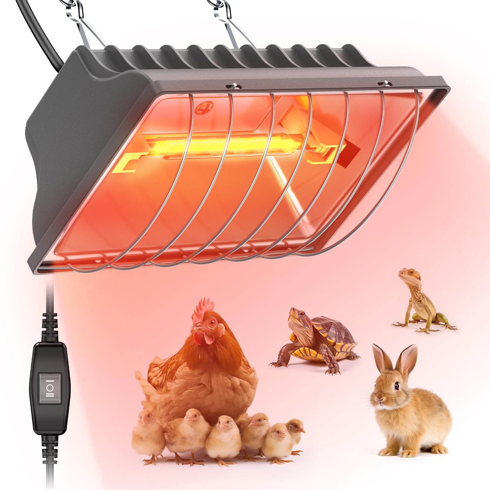 Chtoocy chicken coop heat lamp 300W in use, warming chicks safely