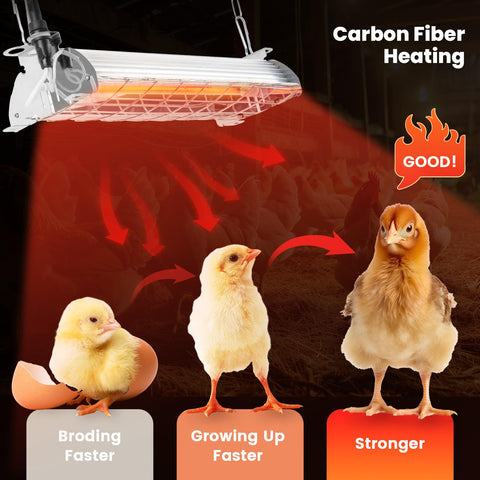 Chtoocy safety metal hanging assembly enables secure installation in coop or kennel.