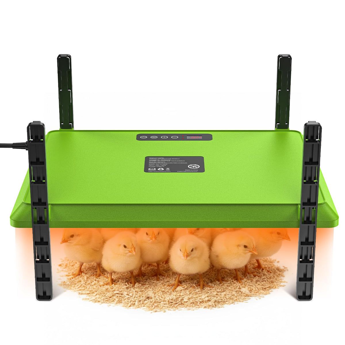 Chtoocy smart chick brooder plate setup shows quick, safe startup for chicks