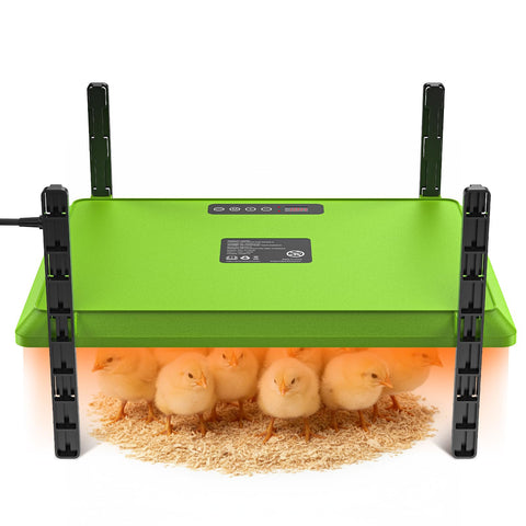 Chtoocy smart chick brooder plate setup shows quick, safe startup for chicks