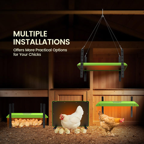 Chtoocy timer and temp settings enable precise flexible chick care
