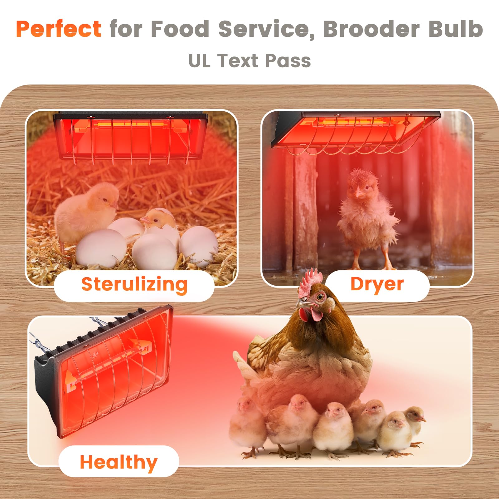 Chtoocy UL-certified power cord for safe poultry use