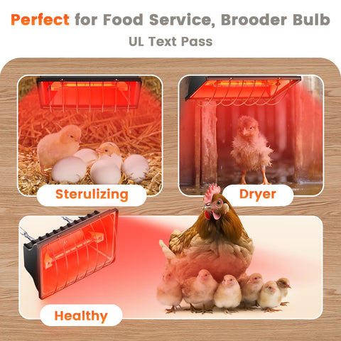 Chtoocy UL-certified power cord for safe poultry use