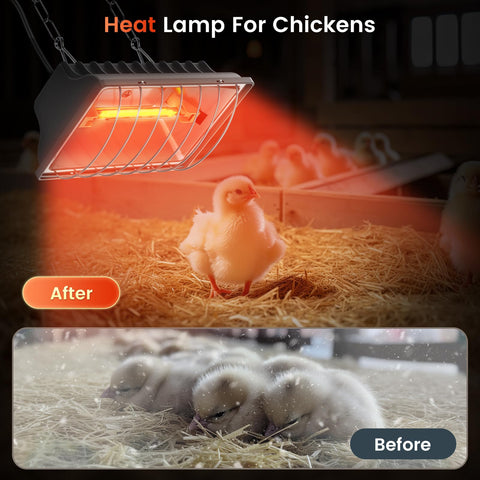 Chtoocy wide infrared heat dispersion covering coop area