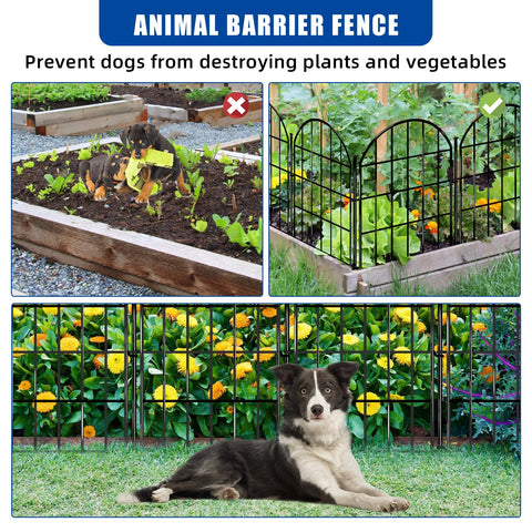 CHTSJQW outdoor garden border fence enhances patios and flower beds.