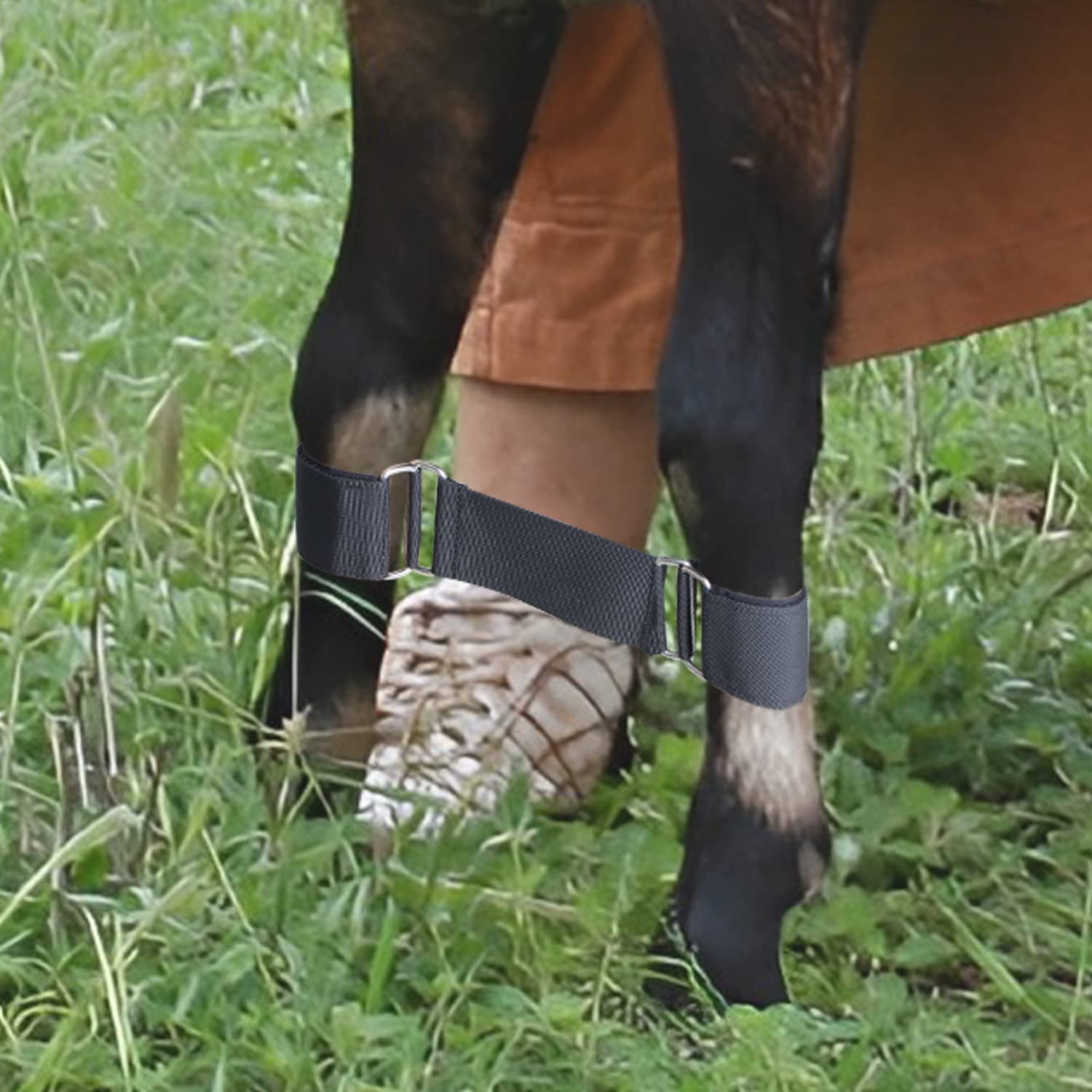 Chuanke Goat Hobbles wrap-around legs for quick setup