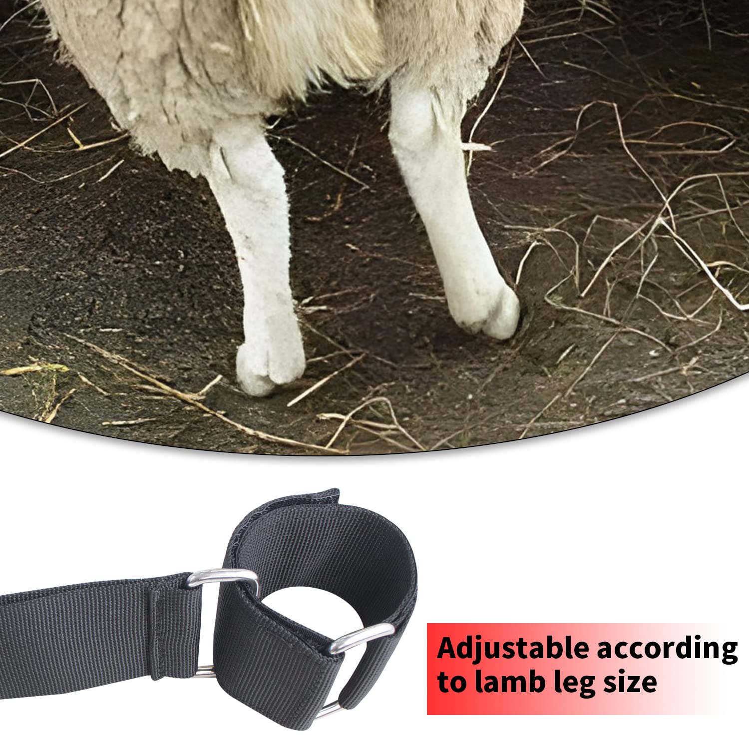 Chuanke Goat Hobbles skin-friendly Velcro protects wool