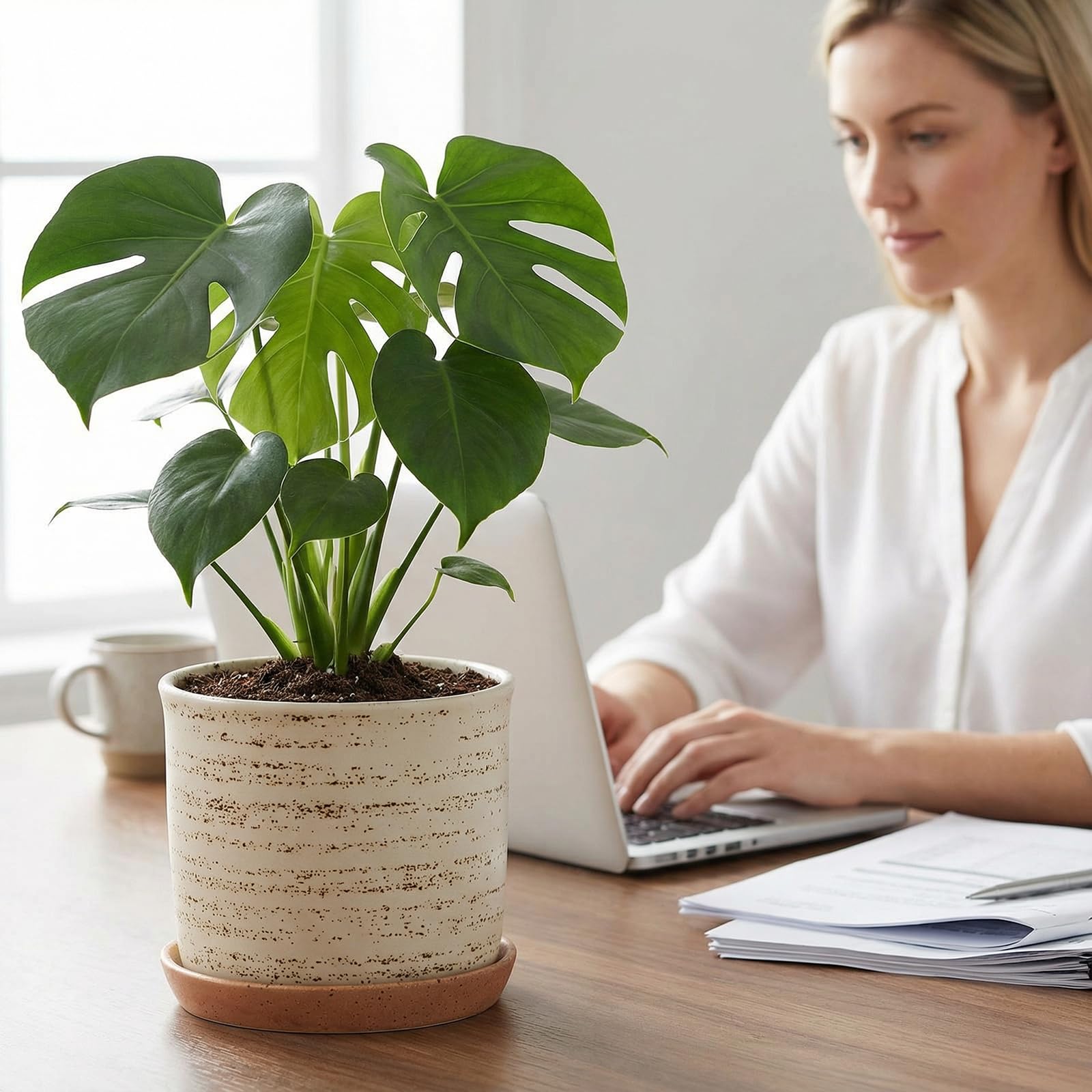 Chubacoo brush-color planter with saucer keeps surfaces clean and organized