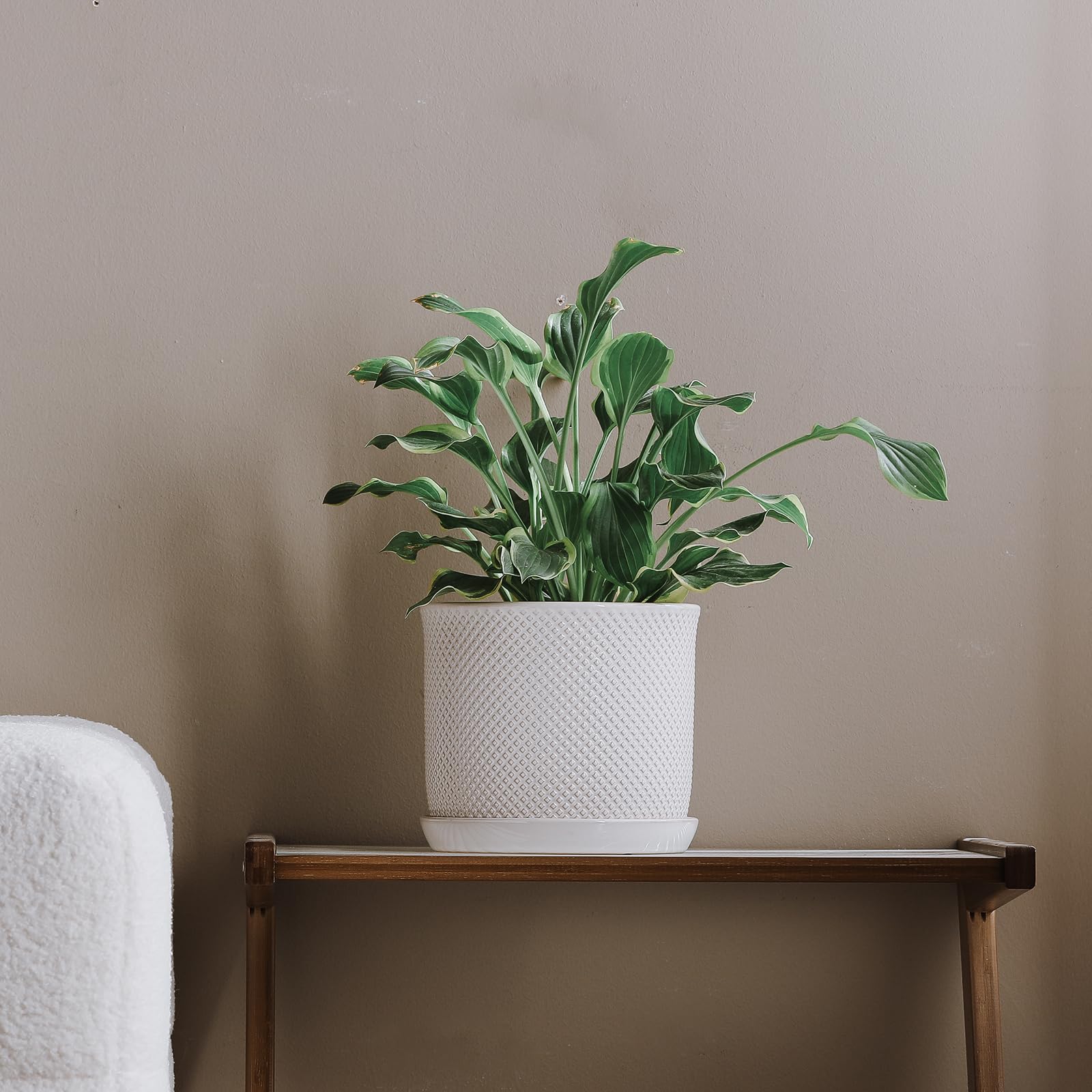 Chubacoo ceramic planter provides stable, long-lasting beauty for homes and patios