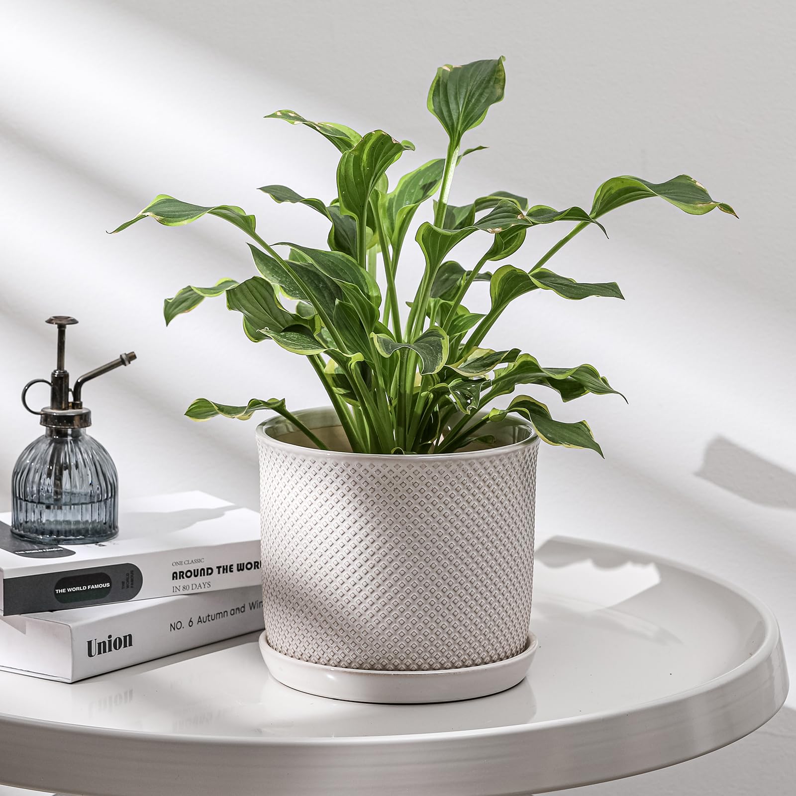 Chubacoo embossed cream-white design adds elegant style to any shelf