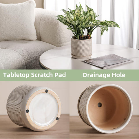 Chubacoo plant pot with integrated saucer enables mess-free drainage.