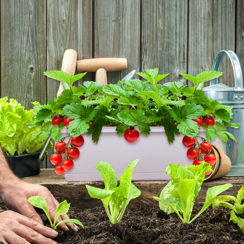 CHUKEMAOYI white window planters complement any outdoor or indoor aesthetic.