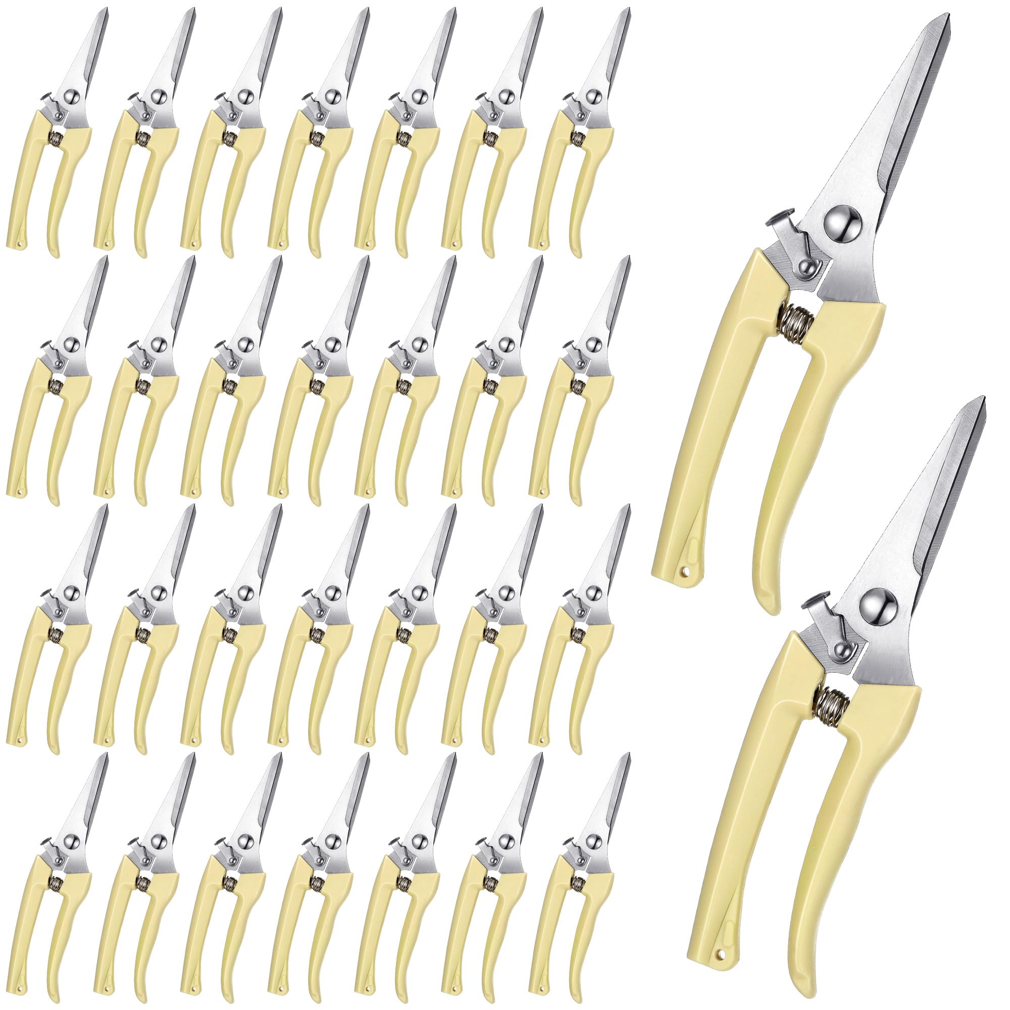Chumia 30-pcs garden shears pack for quick, precise pruning in any bed