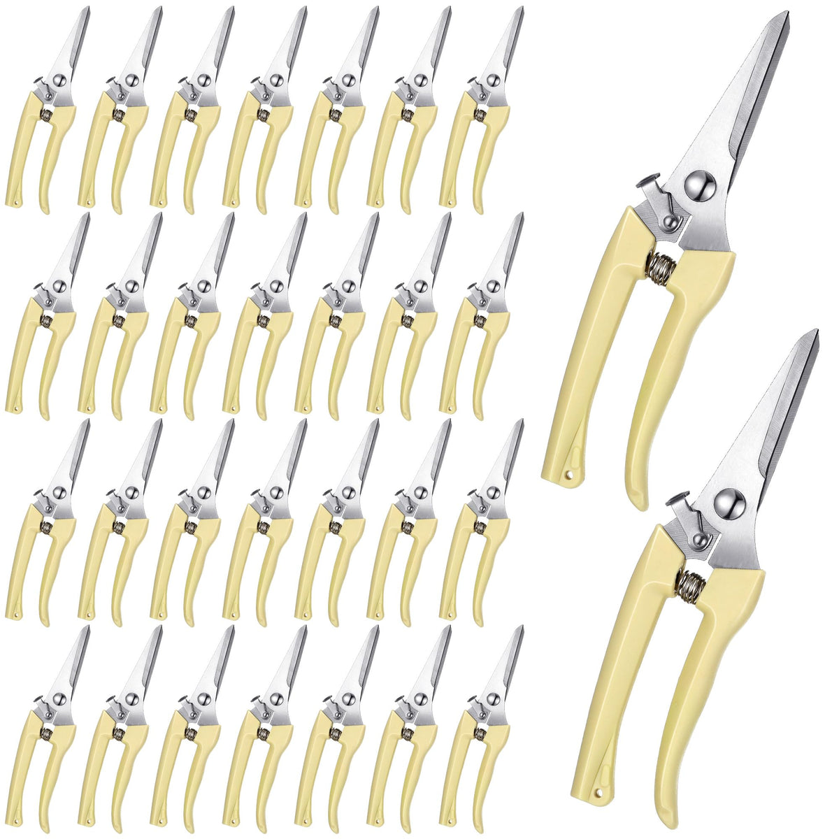 Chumia 30-pcs garden shears pack for quick, precise pruning in any bed