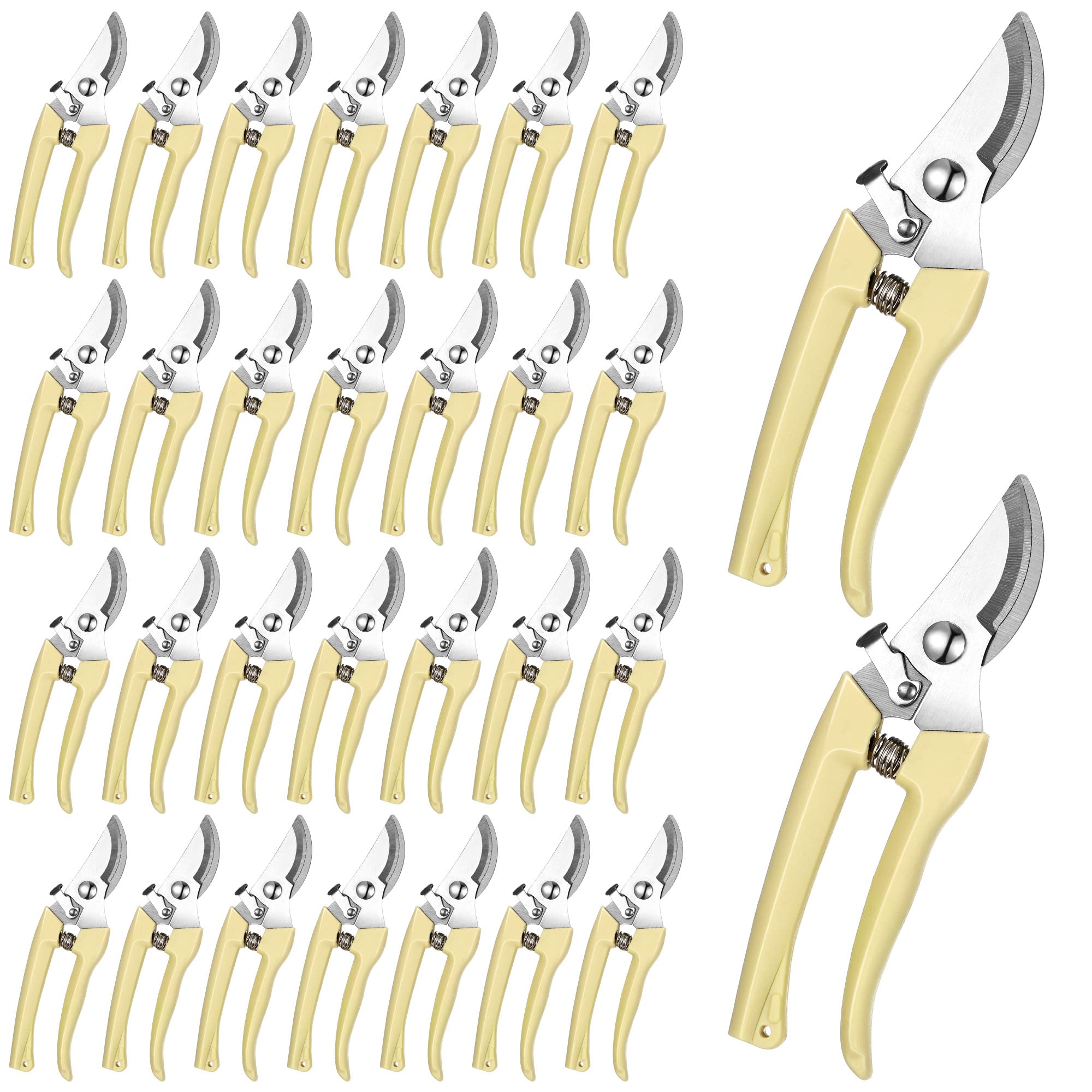 Chumia 30-piece pruning set ready for various garden tasks and pruning needs
