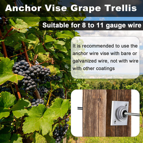 Chumia trellis, vineyard, and fence projects supported by wire vises.