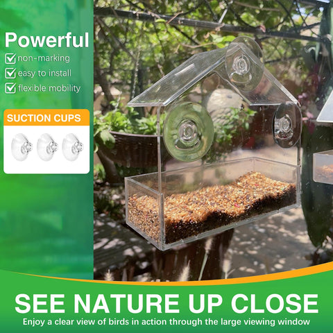 Chunhai acrylic feeder with drainage holes enables clean feeding from outside.