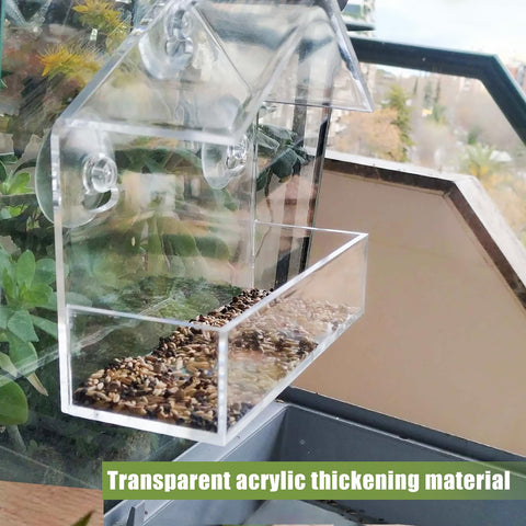 Chunhai feeder features detachable suction cups for flexible placement.