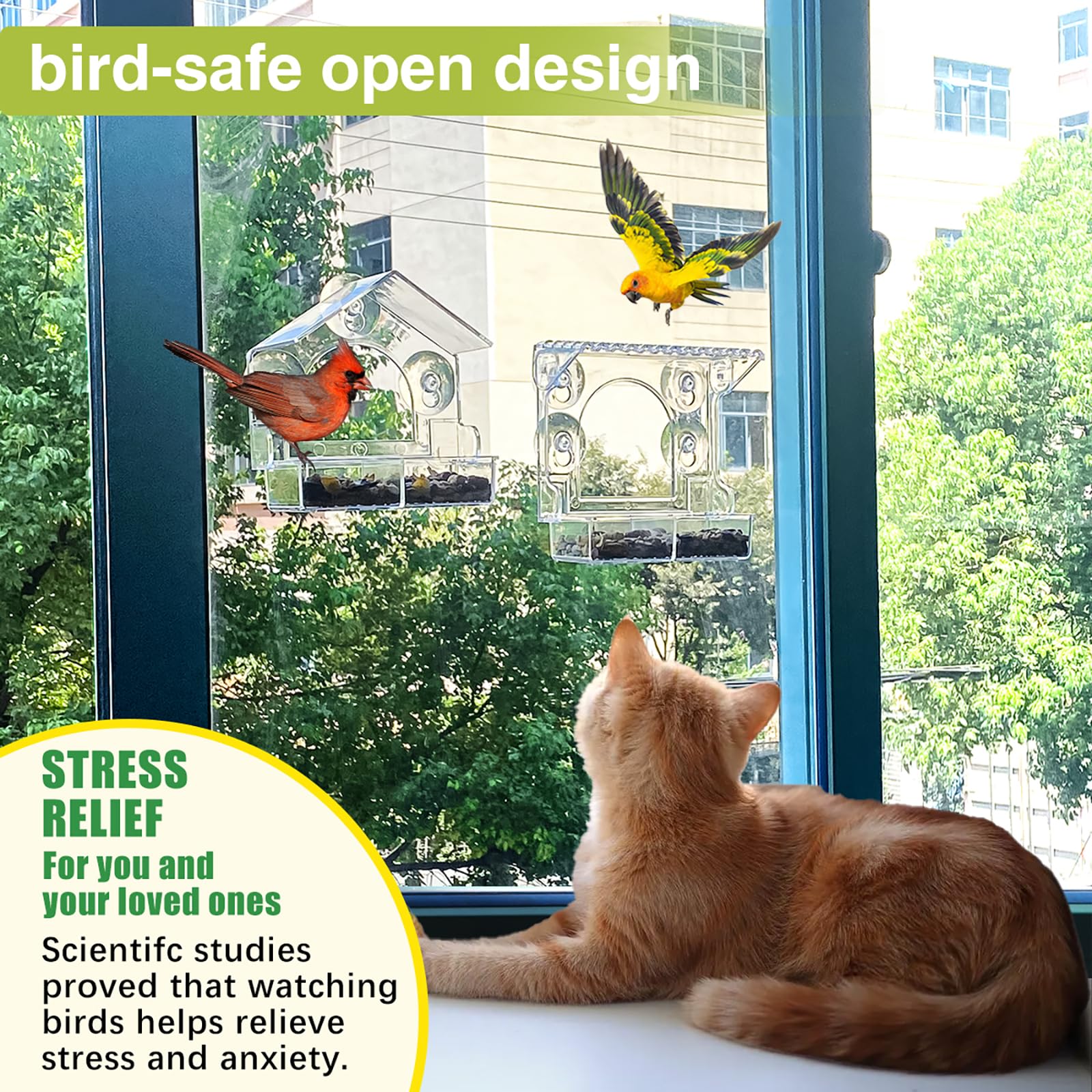 Chunhai removable birdhouse window feeder for quick maintenance.
