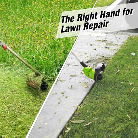 Chway 12-roll pack provides value for regular lawn care.