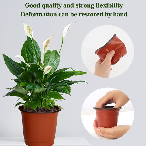 Cidenbio pots with enhanced drainage holes support airflow and reduce waterlogging.