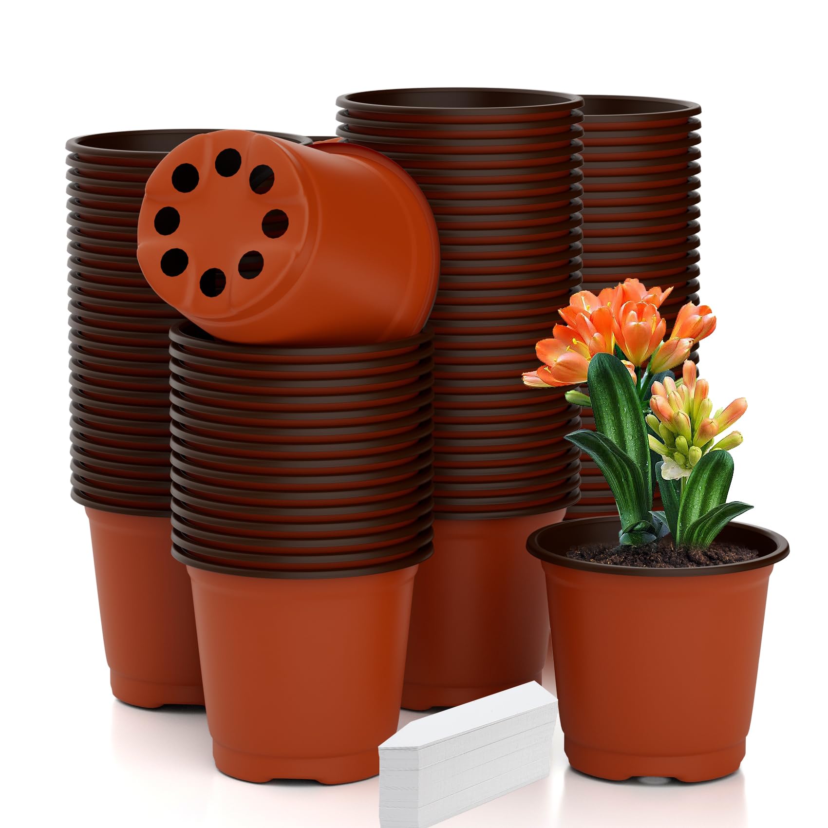 Cidenbio nursery pots with 4-inch opening for seedling growth and easy transplantation.