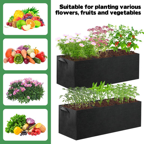 CIEOVO breathable ventilation and drainage promote healthy root growth.